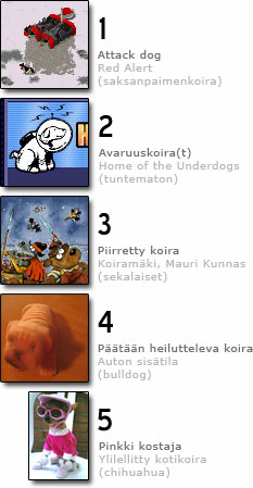 Viisi mielestäni parasta koirarotua